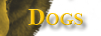 Dogs